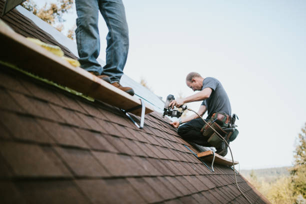 Best Roof Gutter Cleaning  in Monticello, GA